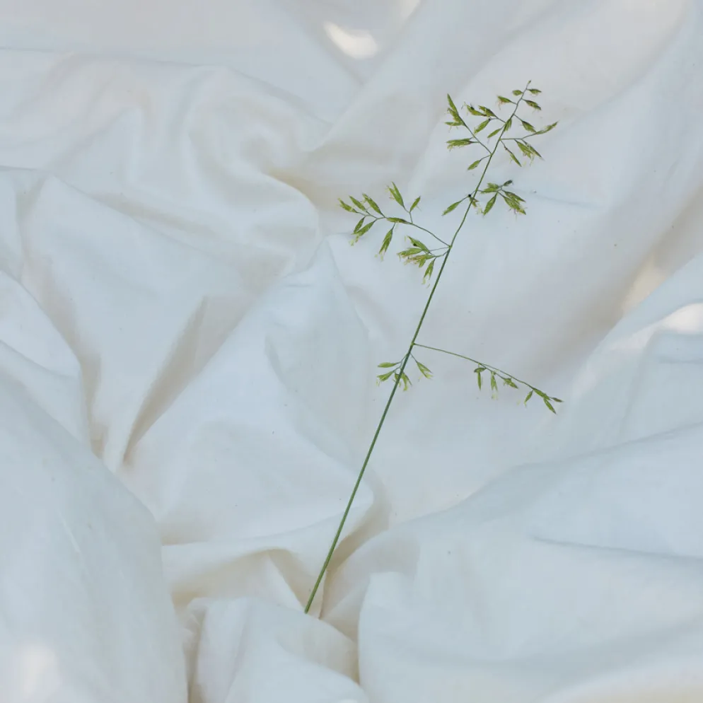 Dear April Grow Spannbetttuch 90x200x13 cm Pure Nature