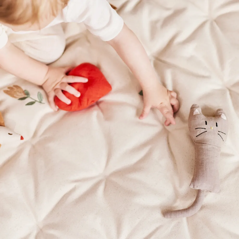 Dear April Henry Kleine Rassel Cat