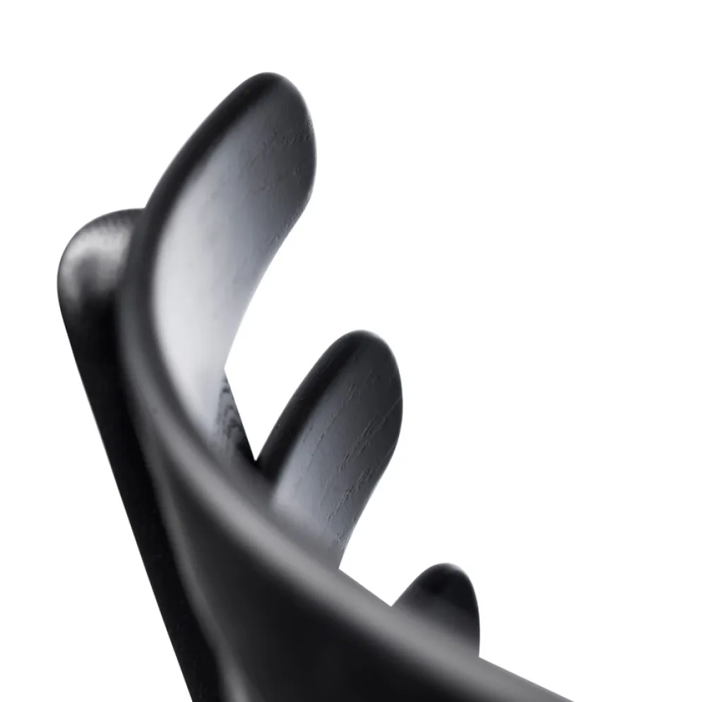 FDB Møbler J48 Stuhl Schwarz/Schwarz Leder