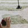 Lorena Canals Spielteppich waschbar Hyde Park inkl. Zubehör